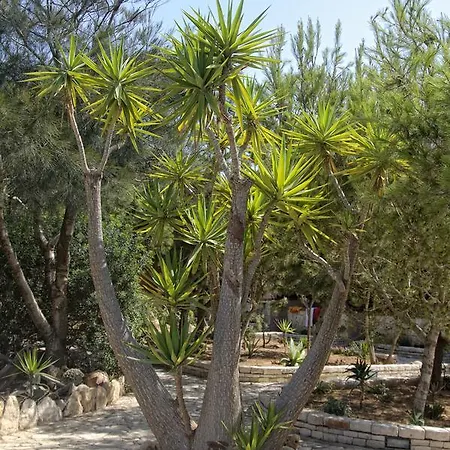 Grazia Lampedusa